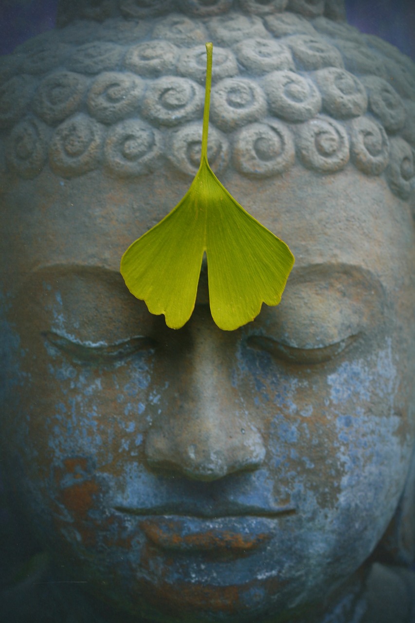 Láo Gōng : Zhi Neng Qi Gong